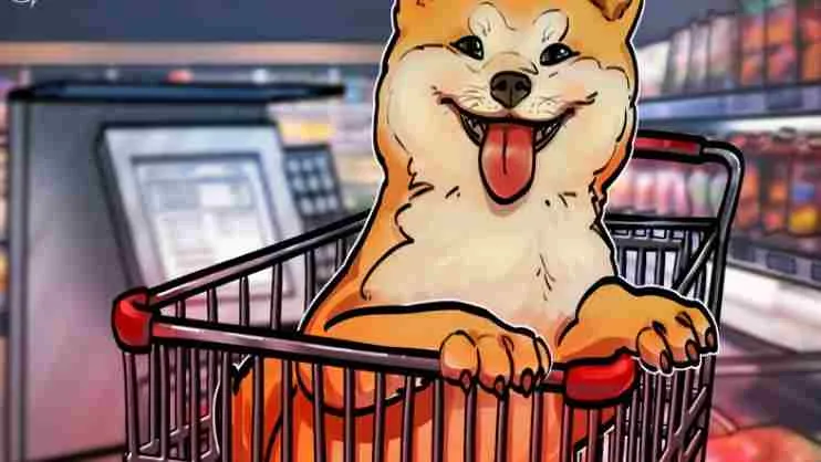 دوج-کوین، افزایش-قیمت، قیمت